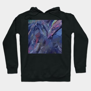 Flowing triangles of color Hoodie